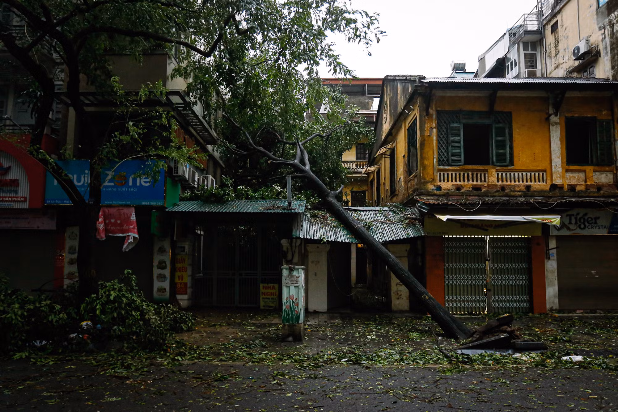 Nhiều cây lớn đổ vào nhà dân tại phố Lò Đúc. (Ảnh: DUY LINH) Nhiều cây lớn đổ vào nhà dân tại phố Lò Đúc. (Ảnh: DUY LINH)