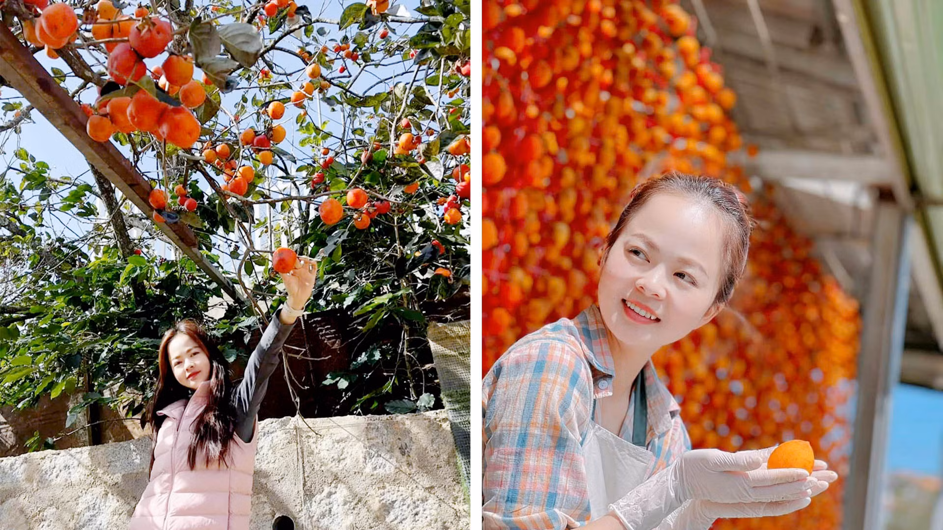 Đà Lạt mùa hồng chín trở thành dư vị ngọt ngào, lãng mạn với du khách khi trải nghiệm thành phố ngàn hoa. Phong cảnh thiên nhiên, di sản văn hóa, nét duyên người Đà Lạt... và cảnh sắc vườn hồng, chắc chắn sẽ làm du khách vấn vương...