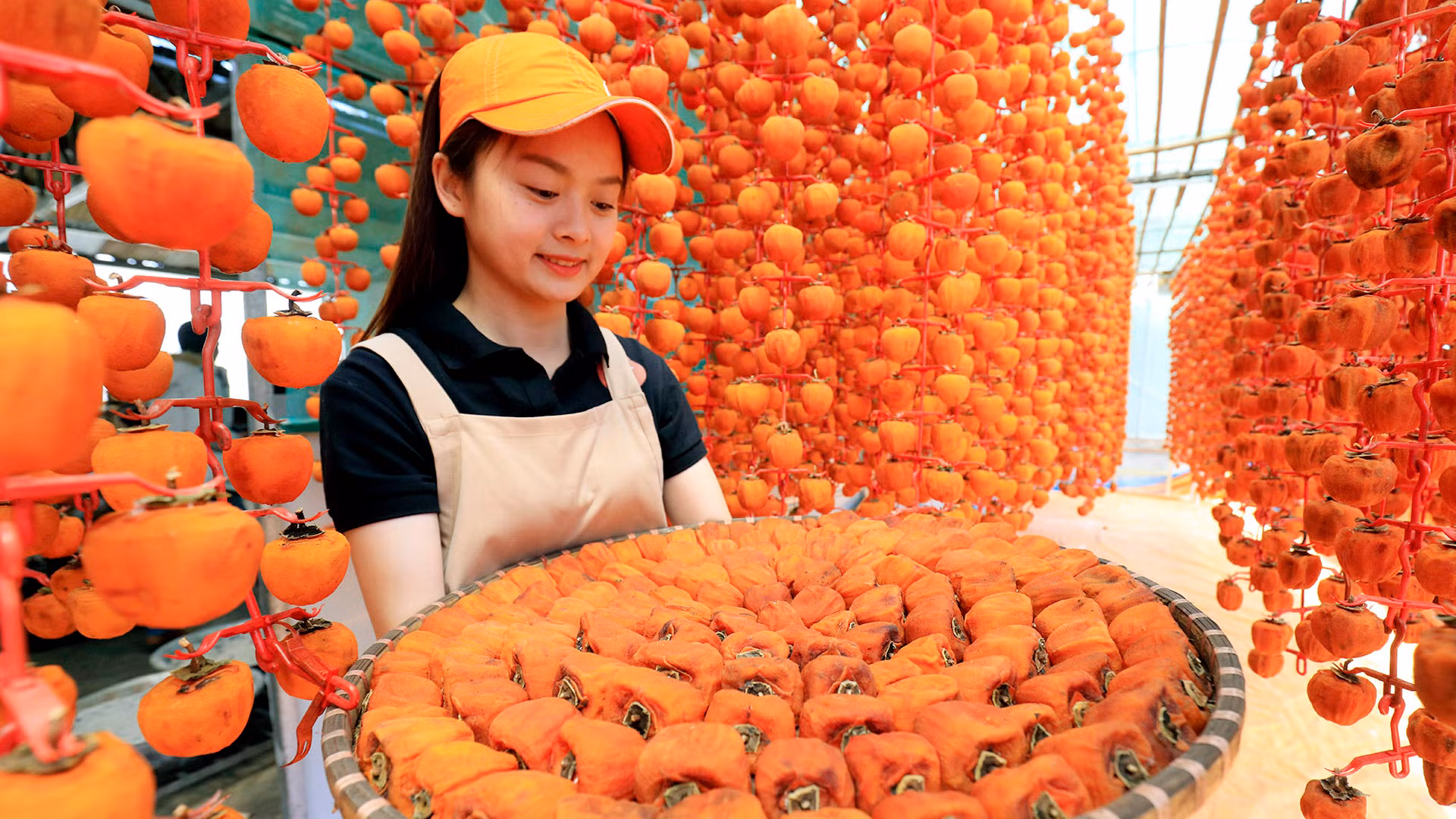 Cùng với thưởng thức trái hồng tươi, người tiêu dùng còn có thể lựa chọn nhiều món đặc sản hấp dẫn từ trái hồng Đà Lạt, như hồng sấy dẻo, hồng treo gió, hồng giòn, rượu hồng và mứt hồng...