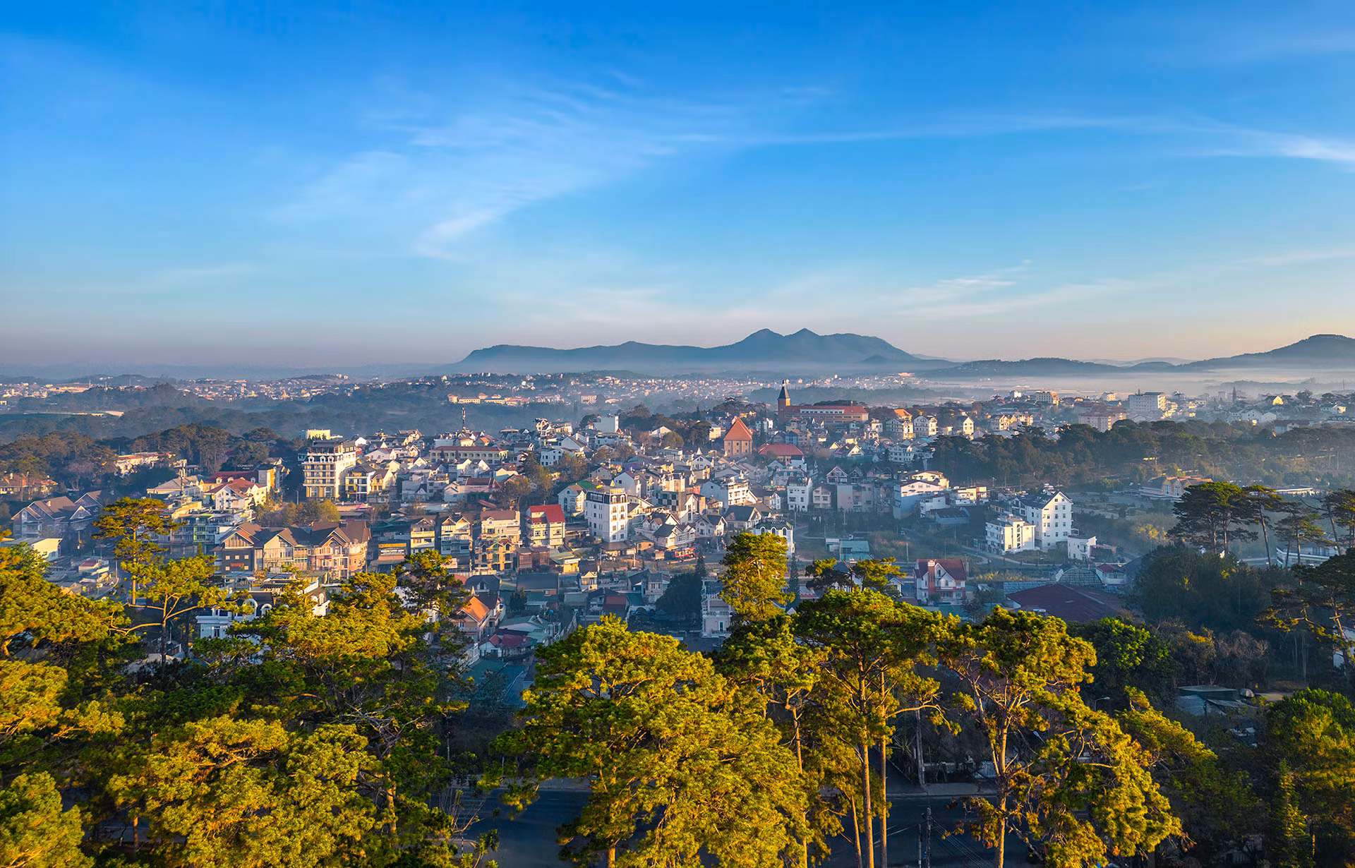 Phố trong rừng. (Ảnh: NGUYỄN TẤT THẮNG)