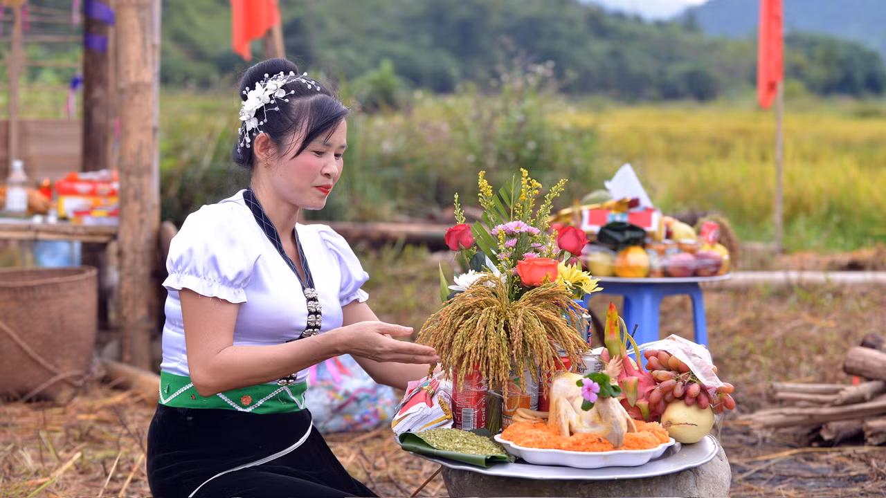 Lúa sau khi được cắt về sẽ được bày vào các mâm lễ để cúng hồn lúa. Lúa sau khi được cắt về sẽ được bày vào các mâm lễ để cúng hồn lúa.
