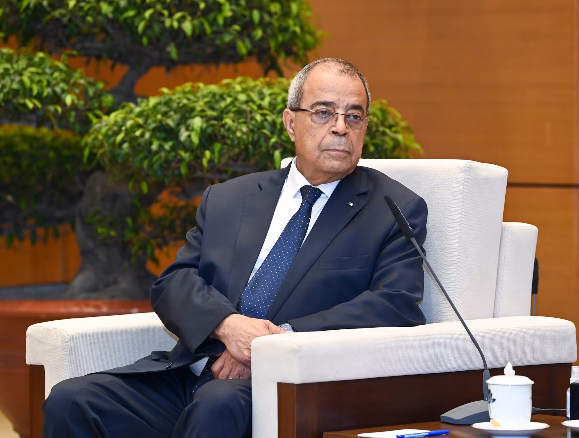 Bộ trưởng Công nghiệp và Sản xuất Dược phẩm Algeria, Chủ tịch Ủy ban Liên Chính phủ Algeria-Việt Nam Ali Aoun phát biểu dự buổi tiếp.
