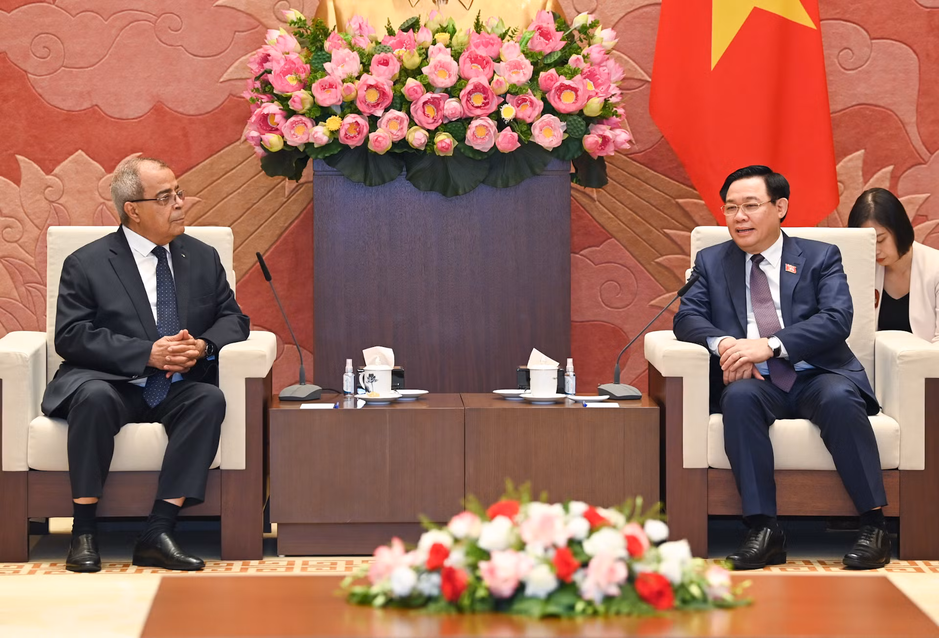 Chủ tịch Quốc hội Vương Đình Huệ và Bộ trưởng Công nghiệp và Sản xuất Dược phẩm Algeria Ali Aoun tại buổi tiếp.