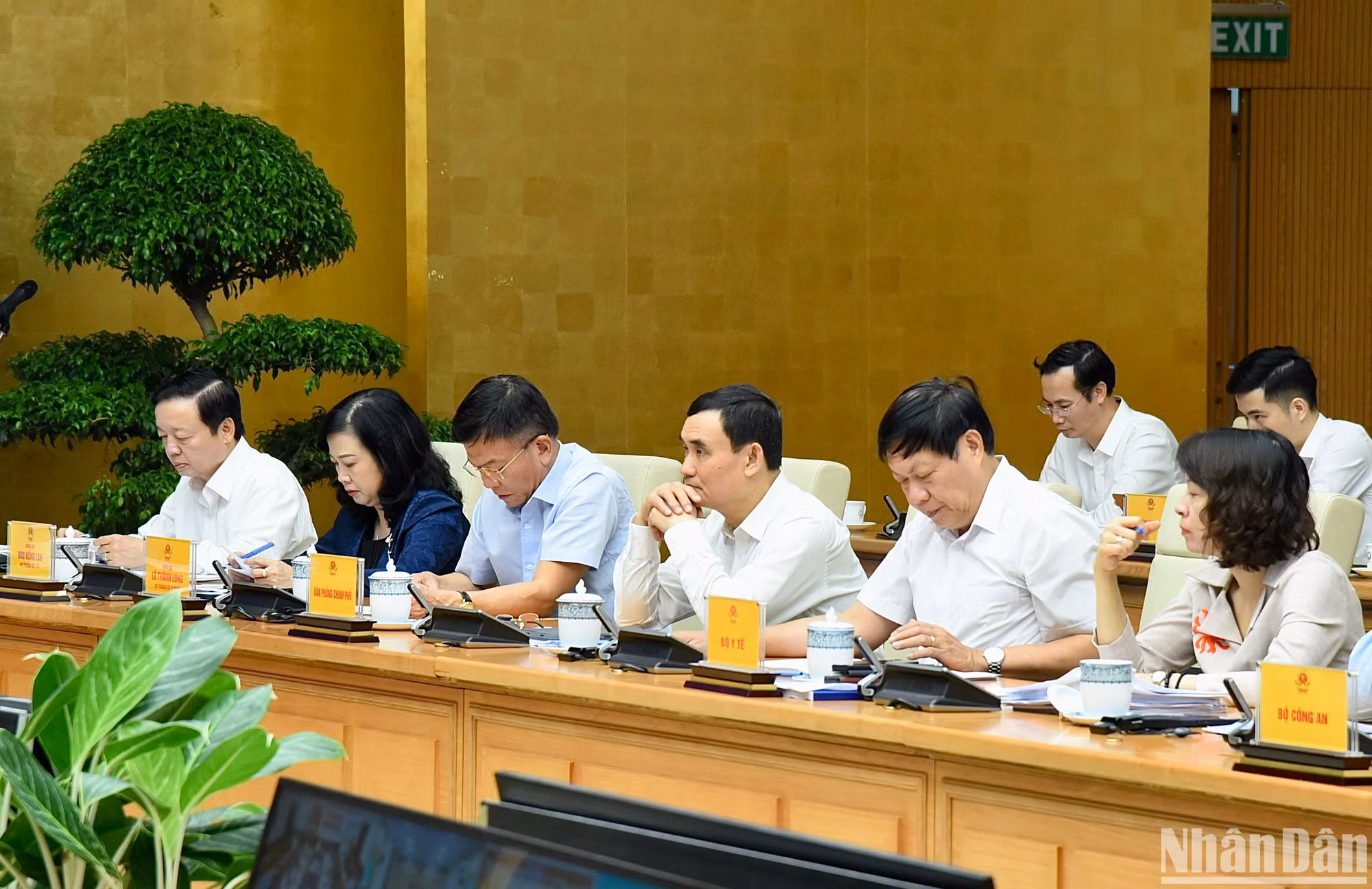 Các đại biểu tham dự hội nghị. Các đại biểu tham dự hội nghị.