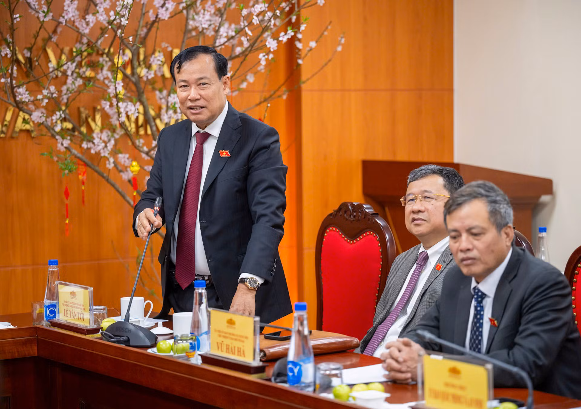 Chủ nhiệm Ủy ban Quốc phòng-An ninh Lê Tấn Tới phát biểu tại cuộc làm việc.