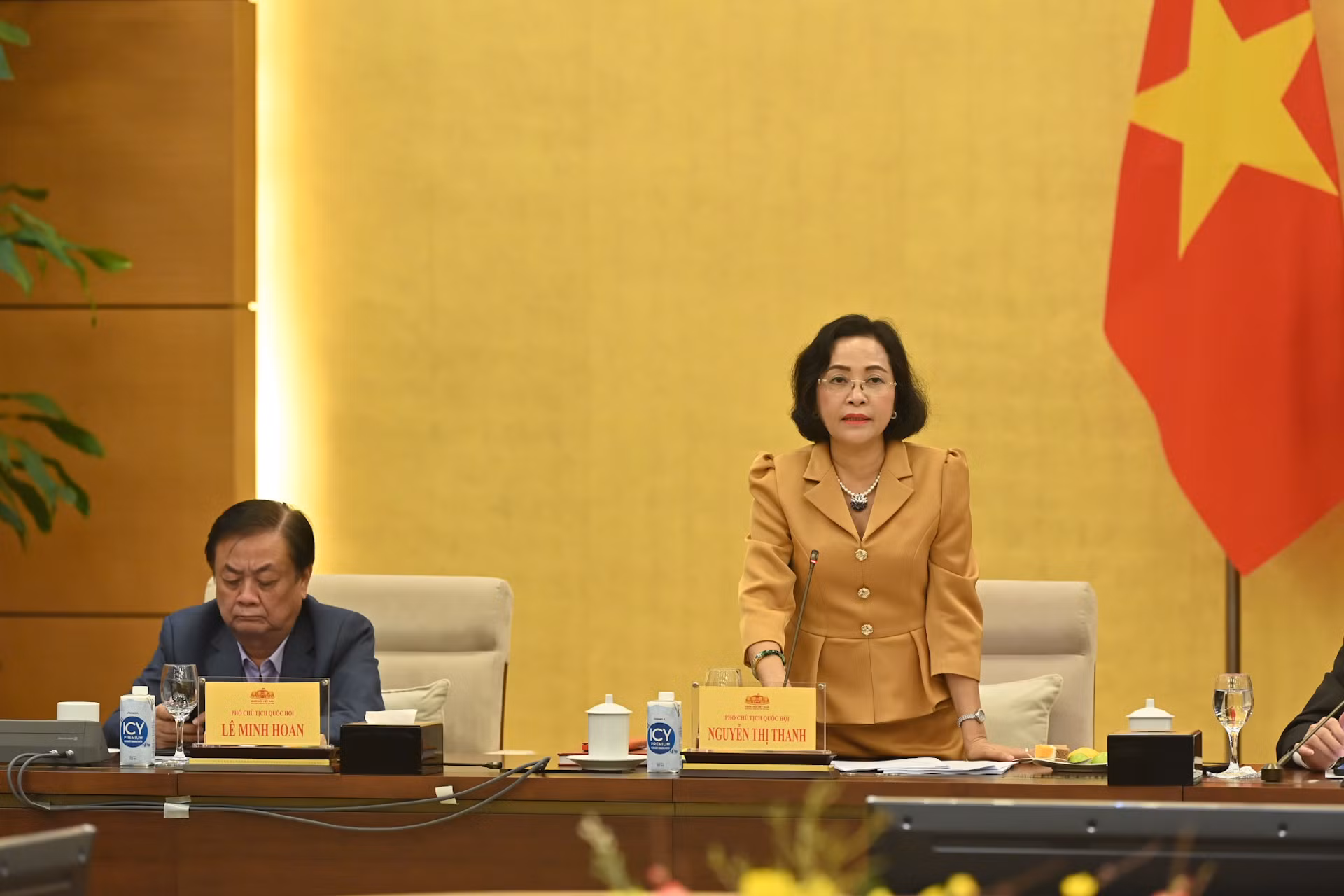 Phó Chủ tịch Quốc hội Nguyễn Thị Thanh phát biểu tại cuộc họp. Phó Chủ tịch Quốc hội Nguyễn Thị Thanh phát biểu tại cuộc họp.