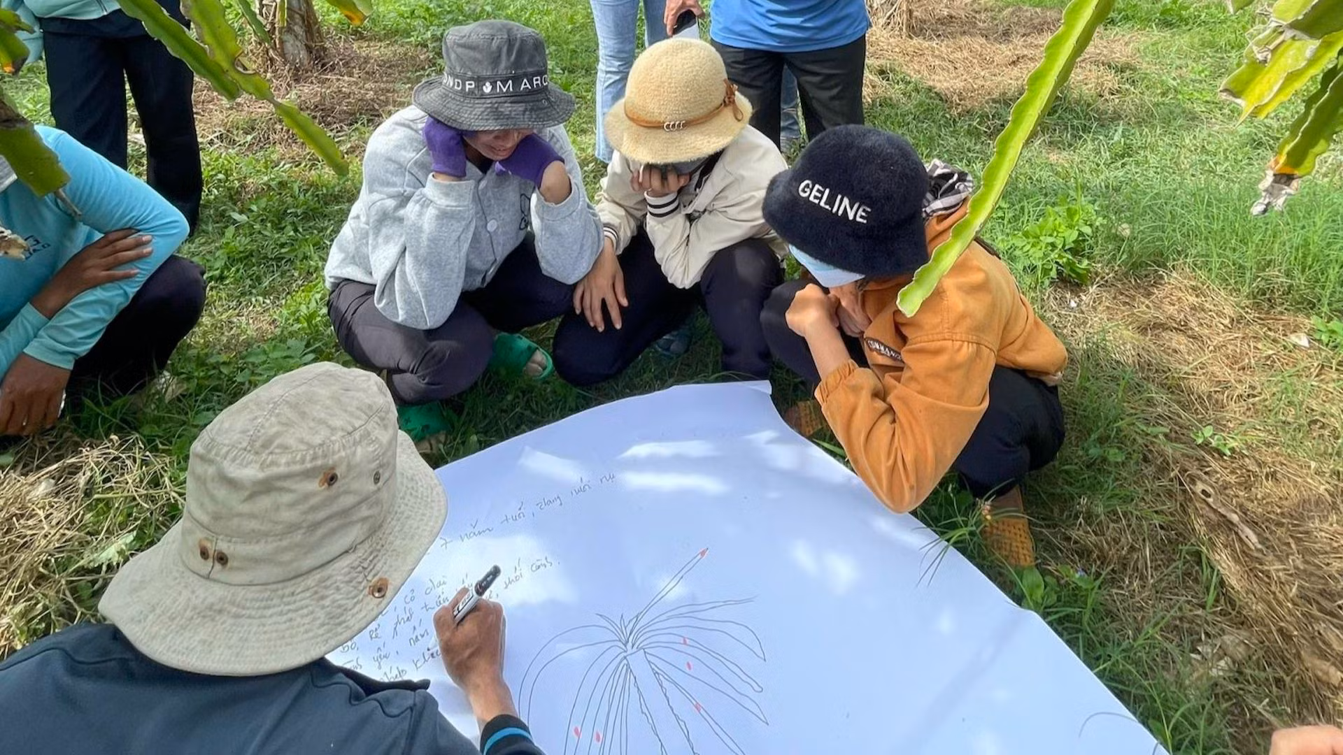 Hướng dẫn nông dân trồng thanh long bền vững theo định hướng quy trình thực hành sản xuất nông nghiệp tốt. Hướng dẫn nông dân trồng thanh long bền vững theo định hướng quy trình thực hành sản xuất nông nghiệp tốt.