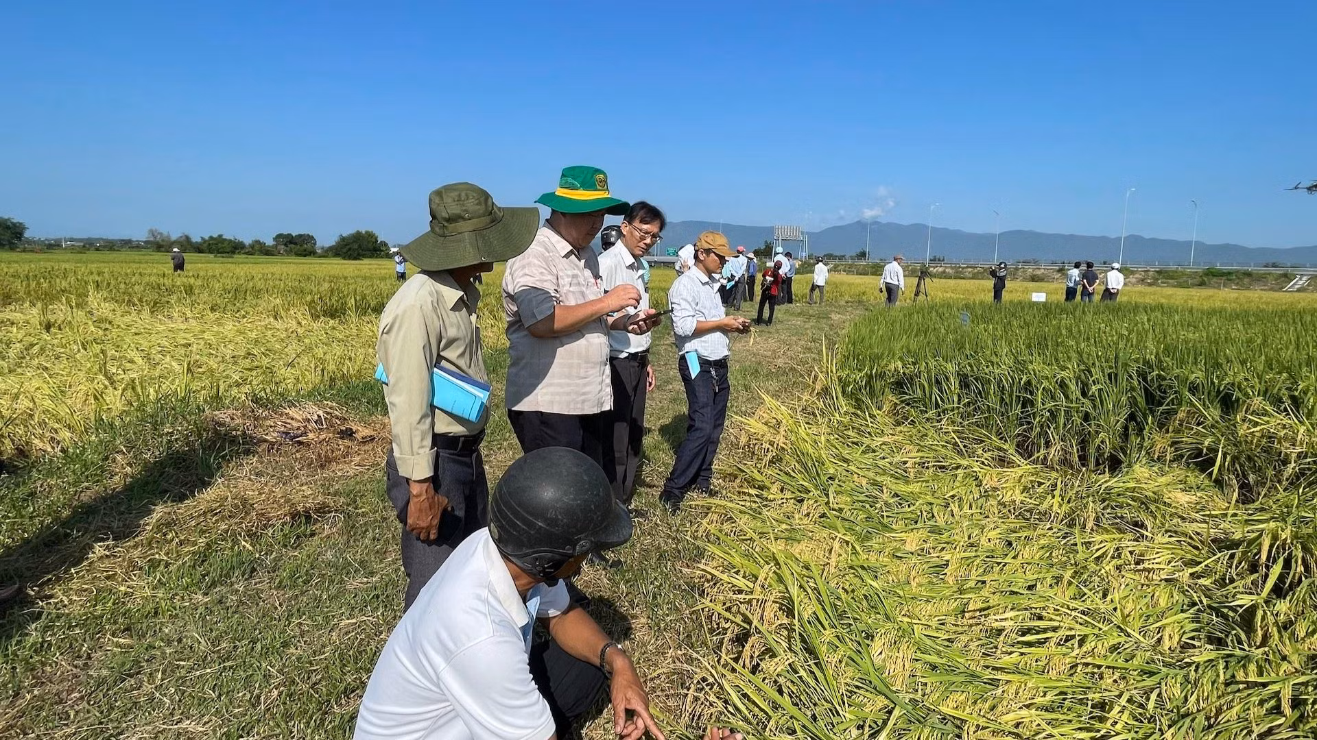 Khi có đất đai, đồng bào dân tộc sẽ nâng cao sản xuất. Khi có đất đai, đồng bào dân tộc sẽ nâng cao sản xuất.