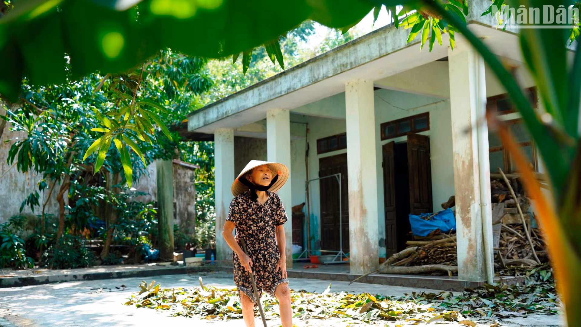 Bà Lê Thị Nhân, 83 tuổi, từng tham gia cách mạng để bảo vệ xóm làng, đào hầm trú ẩn ở rừng Trung Sơn, bị giặc bắt tù đày nhiều năm. Cụ cho biết dân làng bao đời nay gìn giữ cánh rừng như báu vật. Bà nói mảnh đất Trung Sơn này giàu nhân nghĩa, rừng Trung Sơn là khu rừng có quá nhiều điều đặc biệt. (Ảnh: ANH ĐÀO) Bà Lê Thị Nhân, 83 tuổi, từng tham gia cách mạng để bảo vệ xóm làng, đào hầm trú ẩn ở rừng Trung Sơn, bị giặc bắt tù đày nhiều năm. Cụ cho biết dân làng bao đời nay gìn giữ cánh rừng như báu vật. Bà nói mảnh đất Trung Sơn này giàu nhân nghĩa, rừng Trung Sơn là khu rừng có quá nhiều điều đặc biệt. (Ảnh: ANH ĐÀO)