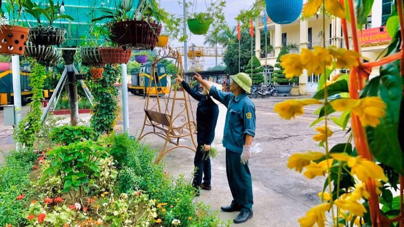 Công nhân, người lao động của Công ty Tuyển than Cửa Ông bài trí lại trụ sở khang trang trước thềm Xuân mới.