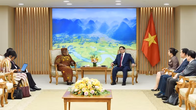 Thủ tướng khẳng định, là một thành viên có trách nhiệm của WTO, Việt Nam chủ trương phát huy vai trò chủ động, tích cực tại các khuôn khổ hợp tác của WTO, nỗ lực thực hiện đầy đủ các cam kết và đóng góp tích cực trên tinh thần xây dựng đối với các vấn đề quan tâm chung tại WTO; xây dựng nền kinh tế độc lập, tự chủ gắn với chủ động, tích cực hội nhập quốc tế sâu rộng, thực chất, hiệu quả. Thủ tướng khẳng định, là một thành viên có trách nhiệm của WTO, Việt Nam chủ trương phát huy vai trò chủ động, tích cực tại các khuôn khổ hợp tác của WTO, nỗ lực thực hiện đầy đủ các cam kết và đóng góp tích cực trên tinh thần xây dựng đối với các vấn đề quan tâm chung tại WTO; xây dựng nền kinh tế độc lập, tự chủ gắn với chủ động, tích cực hội nhập quốc tế sâu rộng, thực chất, hiệu quả.