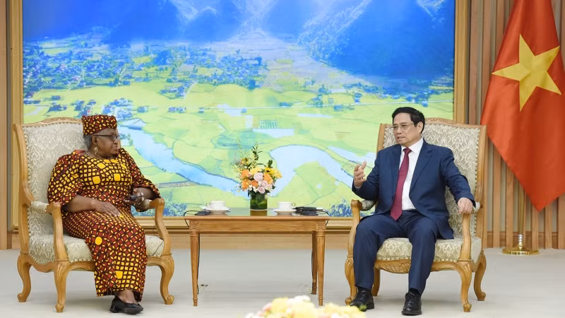 Thủ tướng mong cá nhân Tổng Giám đốc và WTO tiếp tục ủng hộ thúc đẩy các chương trình hợp tác, hỗ trợ tài chính, kỹ thuật của WTO nhằm giúp Việt Nam nâng cao hiệu quả hội nhập kinh tế quốc tế, tiếp tục đóng góp thiết thực vào các hoạt động của WTO. Thủ tướng mong cá nhân Tổng Giám đốc và WTO tiếp tục ủng hộ thúc đẩy các chương trình hợp tác, hỗ trợ tài chính, kỹ thuật của WTO nhằm giúp Việt Nam nâng cao hiệu quả hội nhập kinh tế quốc tế, tiếp tục đóng góp thiết thực vào các hoạt động của WTO.