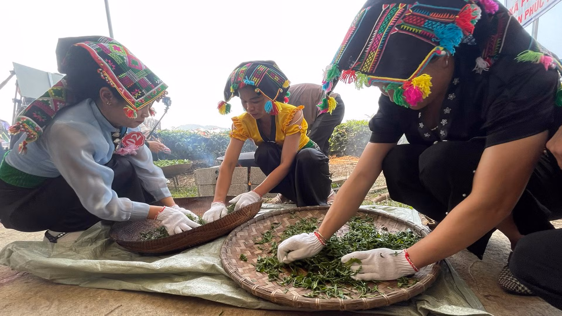 Để cho ra những cánh chè xoắn, đẹp khâu vò chè cũng khá quan trọng. Để cho ra những cánh chè xoắn, đẹp khâu vò chè cũng khá quan trọng.