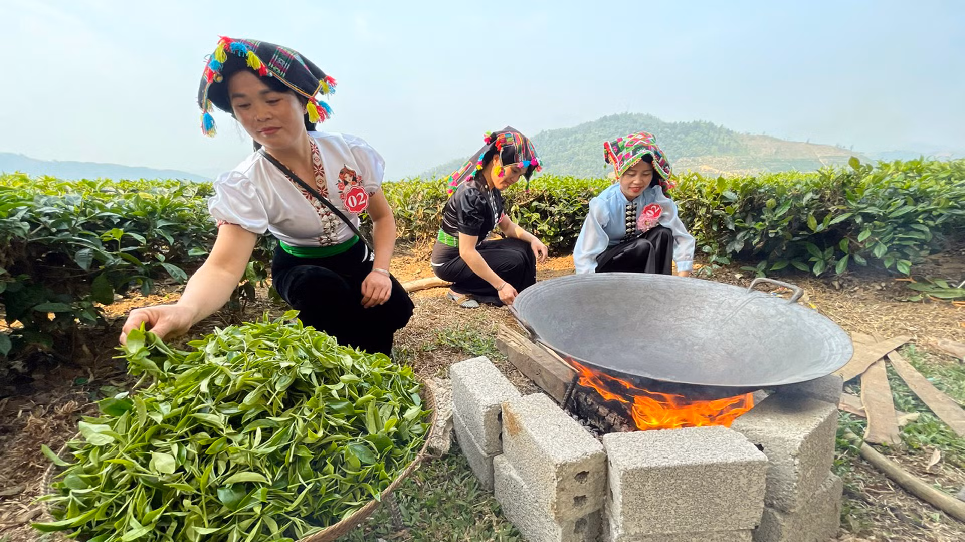 Chuẩn bị sao chè. Chuẩn bị sao chè.