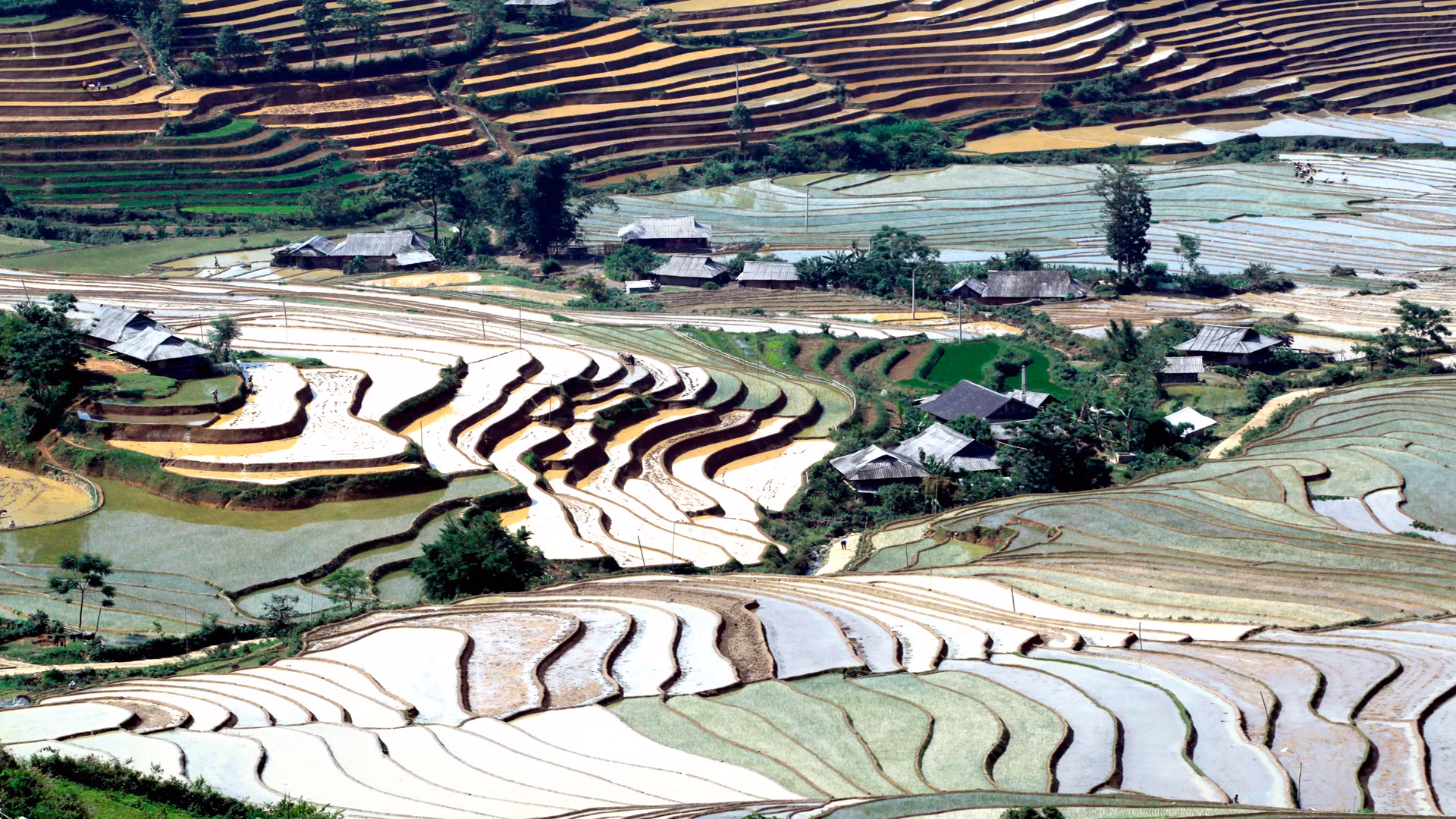 Những ngôi nhà truyền thống của đồng bào nằm xen lẫn những thửa ruộng bậc thang, đây là nơi lưu giữ nhiều nét văn hóa nông nghiệp riêng biệt của vùng cao Tây Bắc. Những ngôi nhà truyền thống của đồng bào nằm xen lẫn những thửa ruộng bậc thang, đây là nơi lưu giữ nhiều nét văn hóa nông nghiệp riêng biệt của vùng cao Tây Bắc.