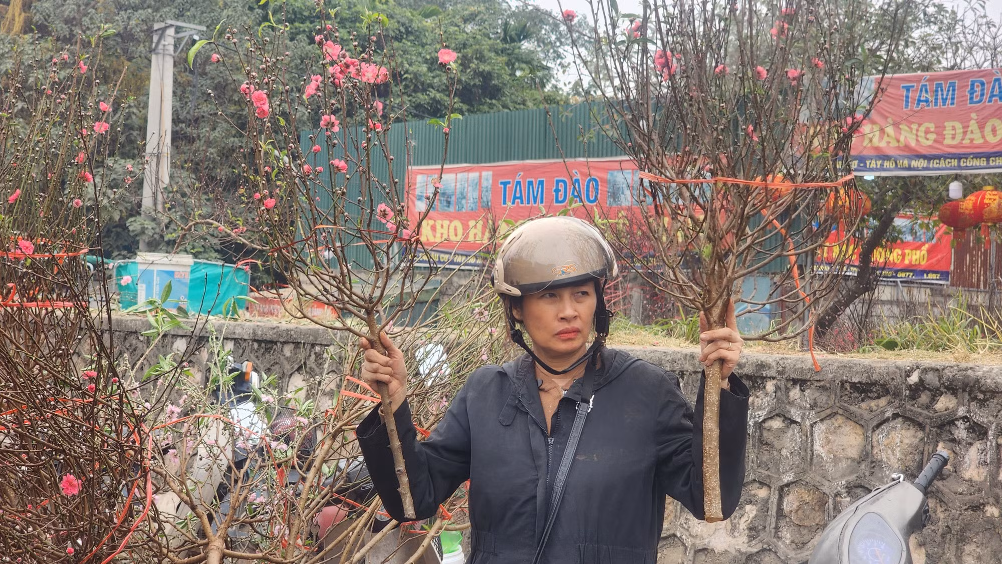 Mỗi cành tùy vào mức độ to hay nhỏ, nhiều hoa hay không mà có giá dao động từ 200-800 nghìn đồng.