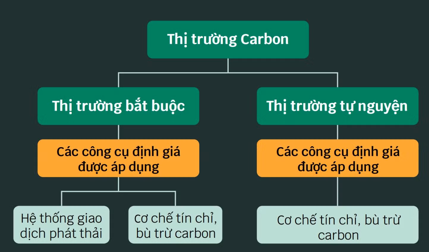 Các cơ chế định giá carbon được áp dụng trong hai loại thị trường carbon. (Đồ họa: Trịnh Nam Phong)