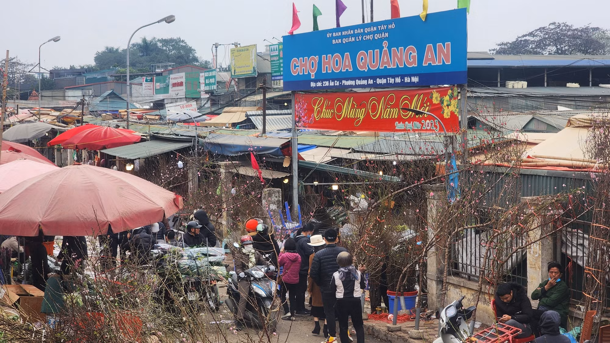 Từ trước tới nay, chợ hoa Quảng Bá luôn được coi là nơi mua bán hoa tươi lớn nhất Thủ đô và là chợ hoa đêm duy nhất ở Hà Nội.