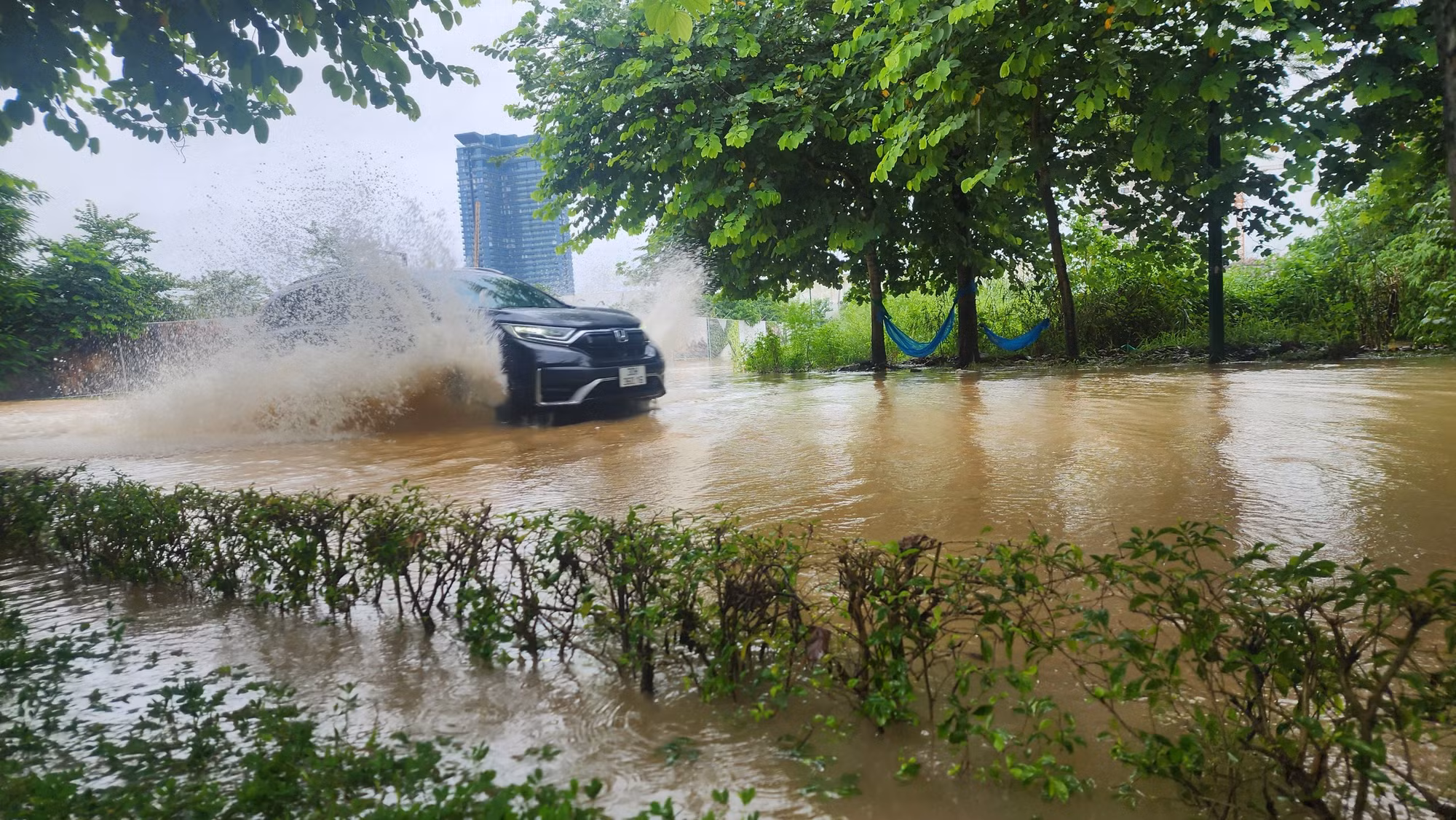 Tại thời điểm xảy ra mưa, Công ty đã thực hiện mở cửa phai của các hồ điều hòa như hồ Thiền Quang, Bảy mẫu, Đống Đa, Tân Mai… và vận hành hợp lý các trạm bơm đầu mối Yên Sở, Đồng Bông 1, Đồng Bông 2, Cổ Nhuế… để hạ mức nước trên hệ thống theo đúng quy định; triển khai công tác ứng trực, giải quyết thoát nước, tua vớt rác.