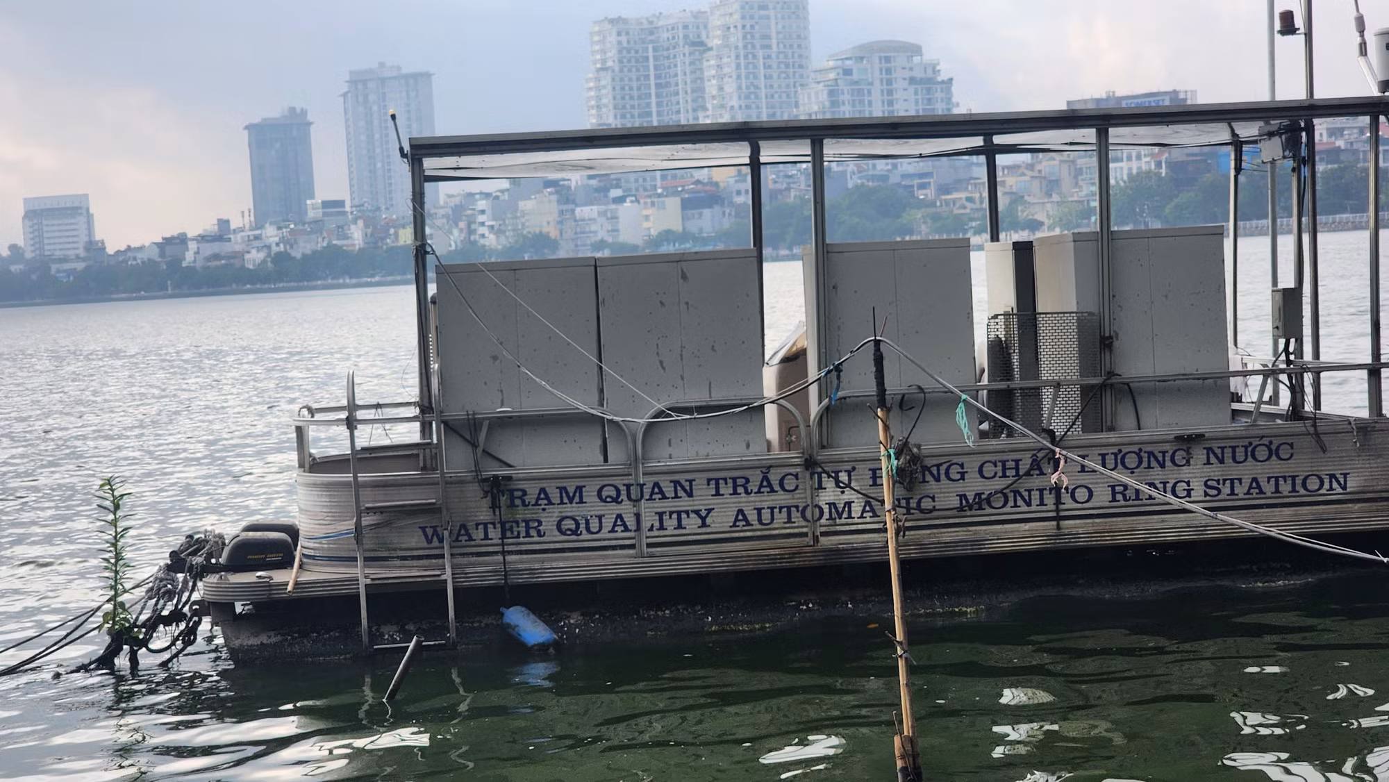 Theo Công ty TNHH MTV Thoát nước Hà Nội, đã xác định một số nguyên nhân gây ra hiện tượng cá chết ở hồ Tây, bao gồm: thay đổi thời tiết, thiếu không khí và hàm lượng oxy trong nước giảm, chất lượng nước bị ô nhiễm và chứa khí độc (do bùn, tảo...).