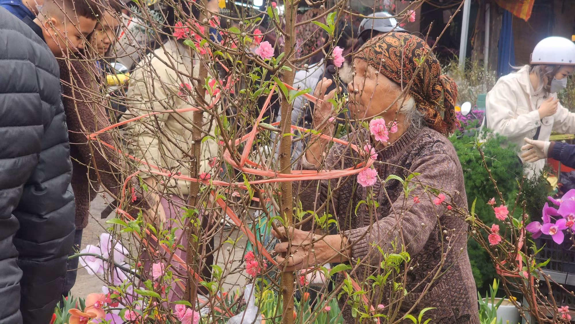 Một bà cụ với cành hoa đào tự tay trồng tại chợ hoa Quảng Bá.