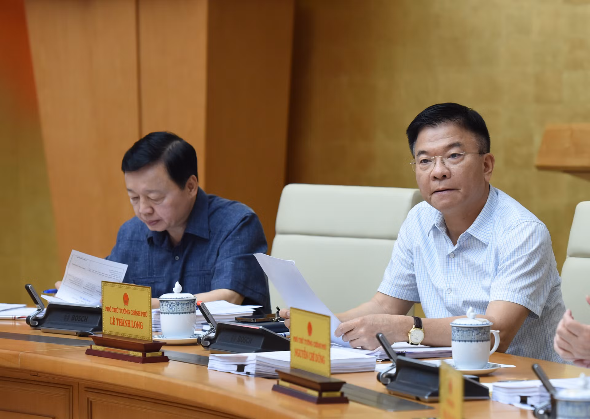 Phó Thủ tướng Lê Thành Long phát biểu.
