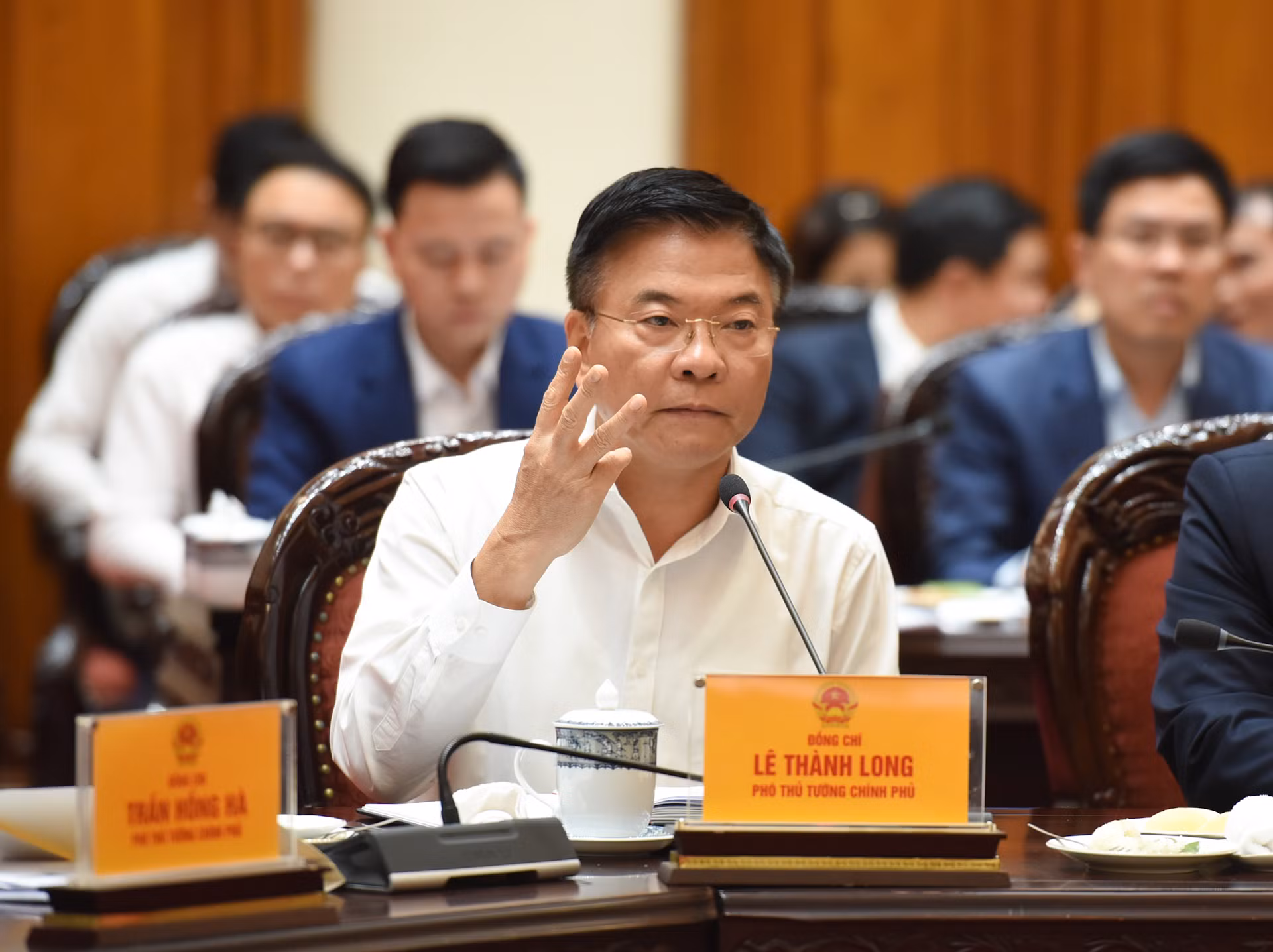 Phó Thủ tướng Lê Thành Long phát biểu tại cuộc họp.