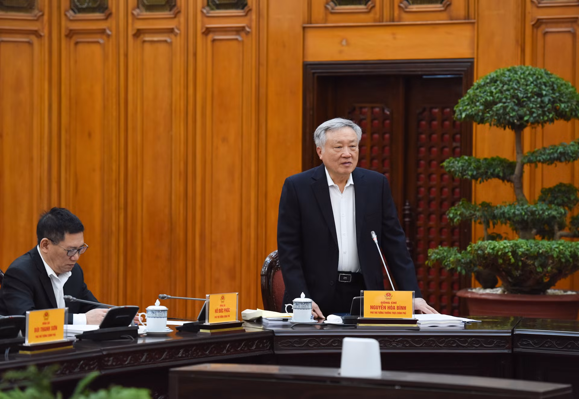 Phó Thủ tướng Thường trực Nguyễn Hòa Bình phát biểu. Phó Thủ tướng Thường trực Nguyễn Hòa Bình phát biểu.