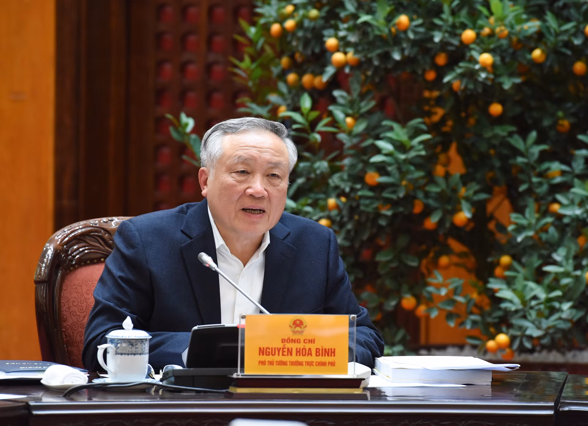 Phó Thủ tướng Thường trực Nguyễn Hòa Bình phát biểu tại phiên họp.
