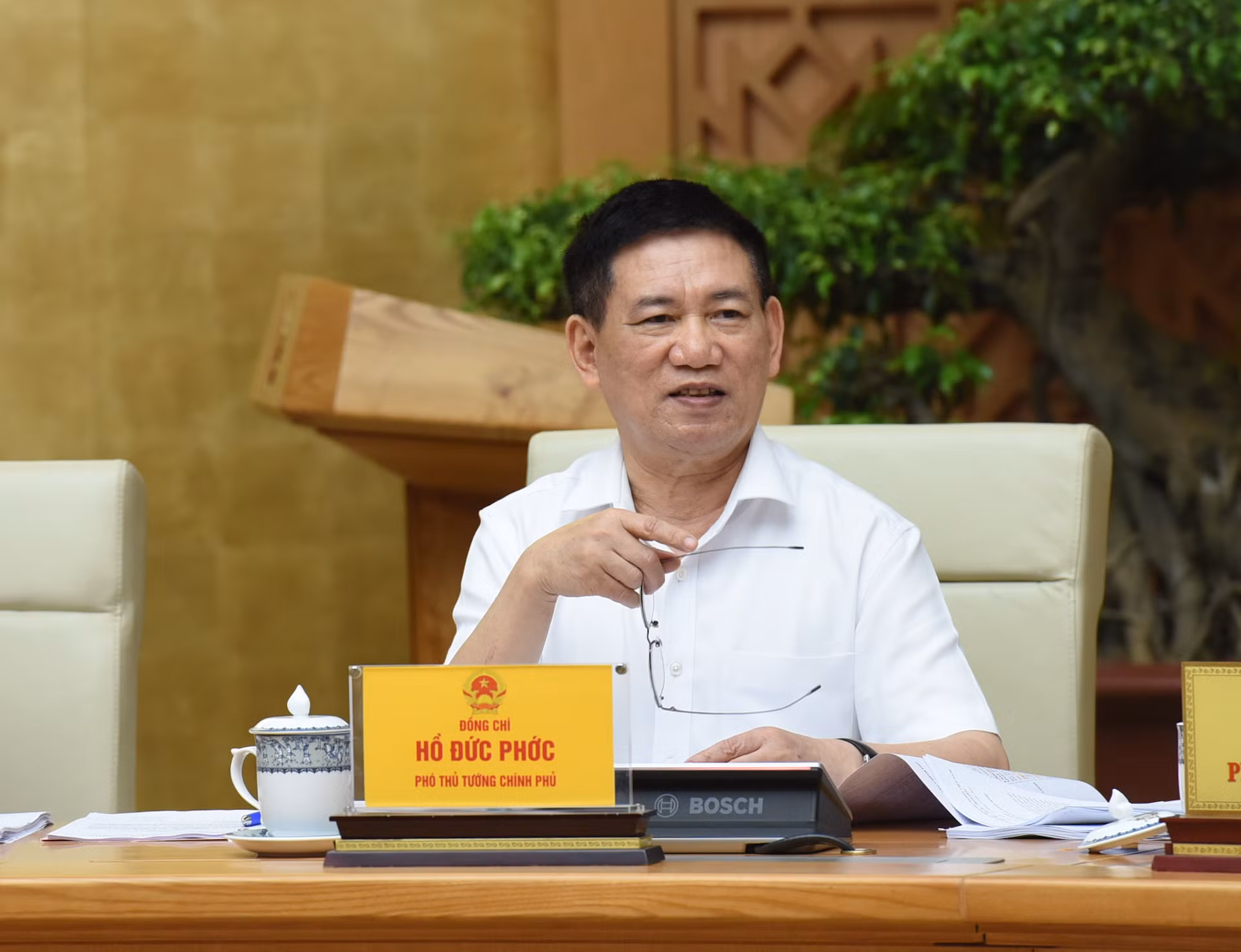 Phó Thủ tướng Hồ Đức Phớc phát biểu.