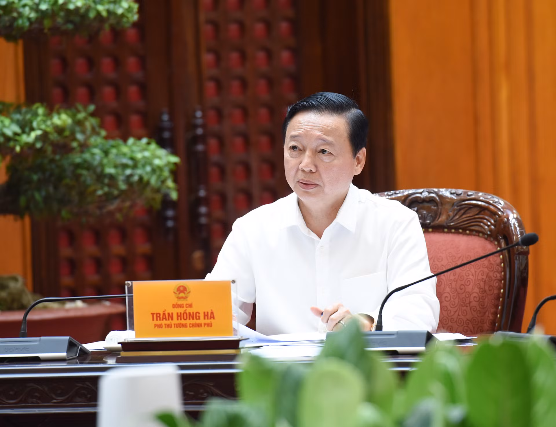 Phó Thủ tướng Trần Hồng Hà phát biểu tại cuộc họp.
