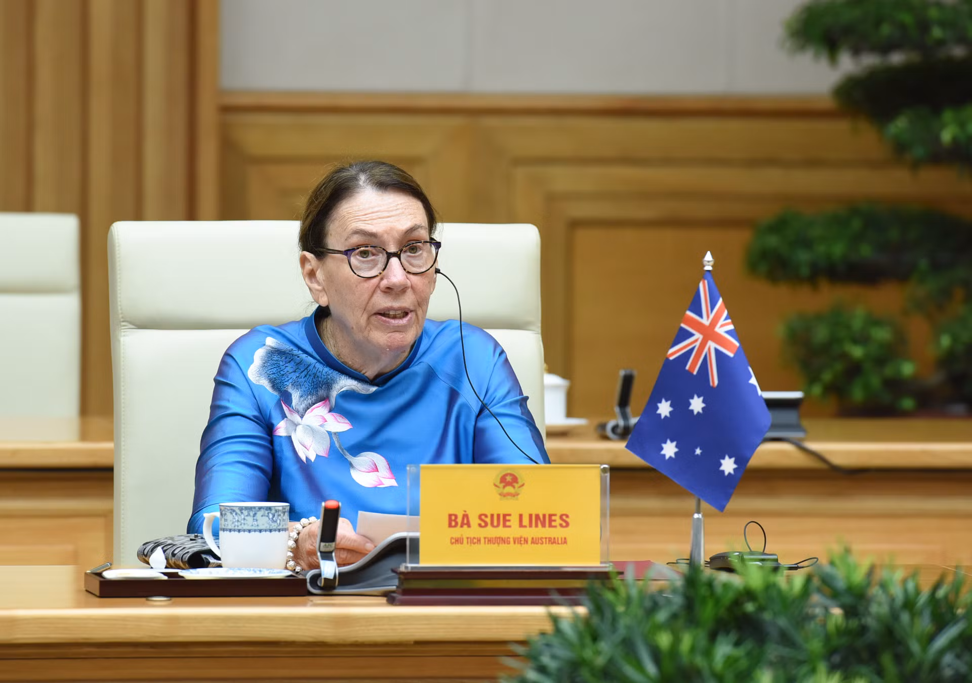 Chủ tịch Thượng viện Australia Sue Lines phát biểu tại hội kiến.