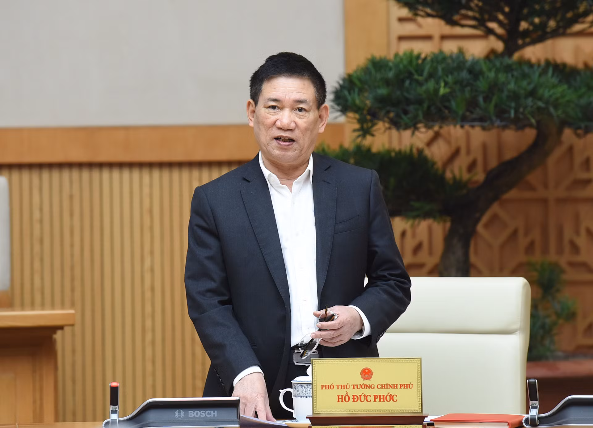 Phó Thủ tướng Hồ Đức Phớc phát biểu.