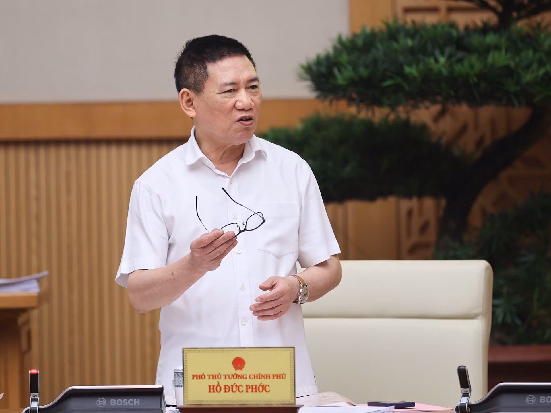 Phó Thủ tướng Hồ Đức Phớc phát biểu tại phiên họp.