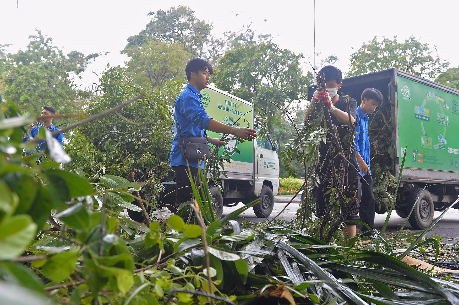 Tuy nhiên, do lượng cây xanh gẫy, đổ quá lớn, trang thiết bị chuyên dụng lại thiếu thốn, cho nên việc xử lý, dọn dẹp đã phải tiến hành liên tục nhiều ngày nay.