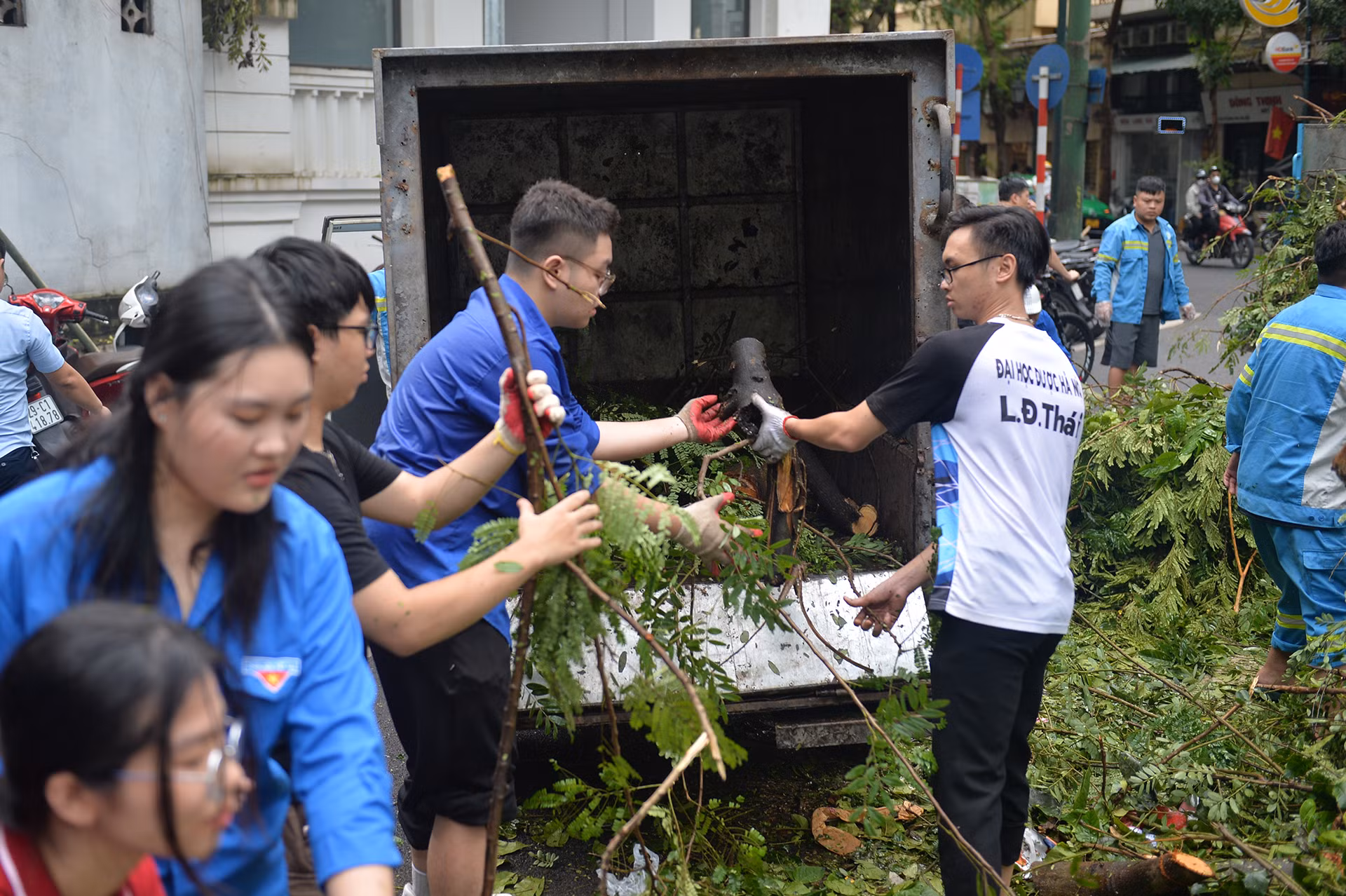 2 công đoạn cuối cùng gồm: phân loại cành, lá và thân cây lớn; vận chuyển lên xe chuyên dụng để chở đi xử lý.