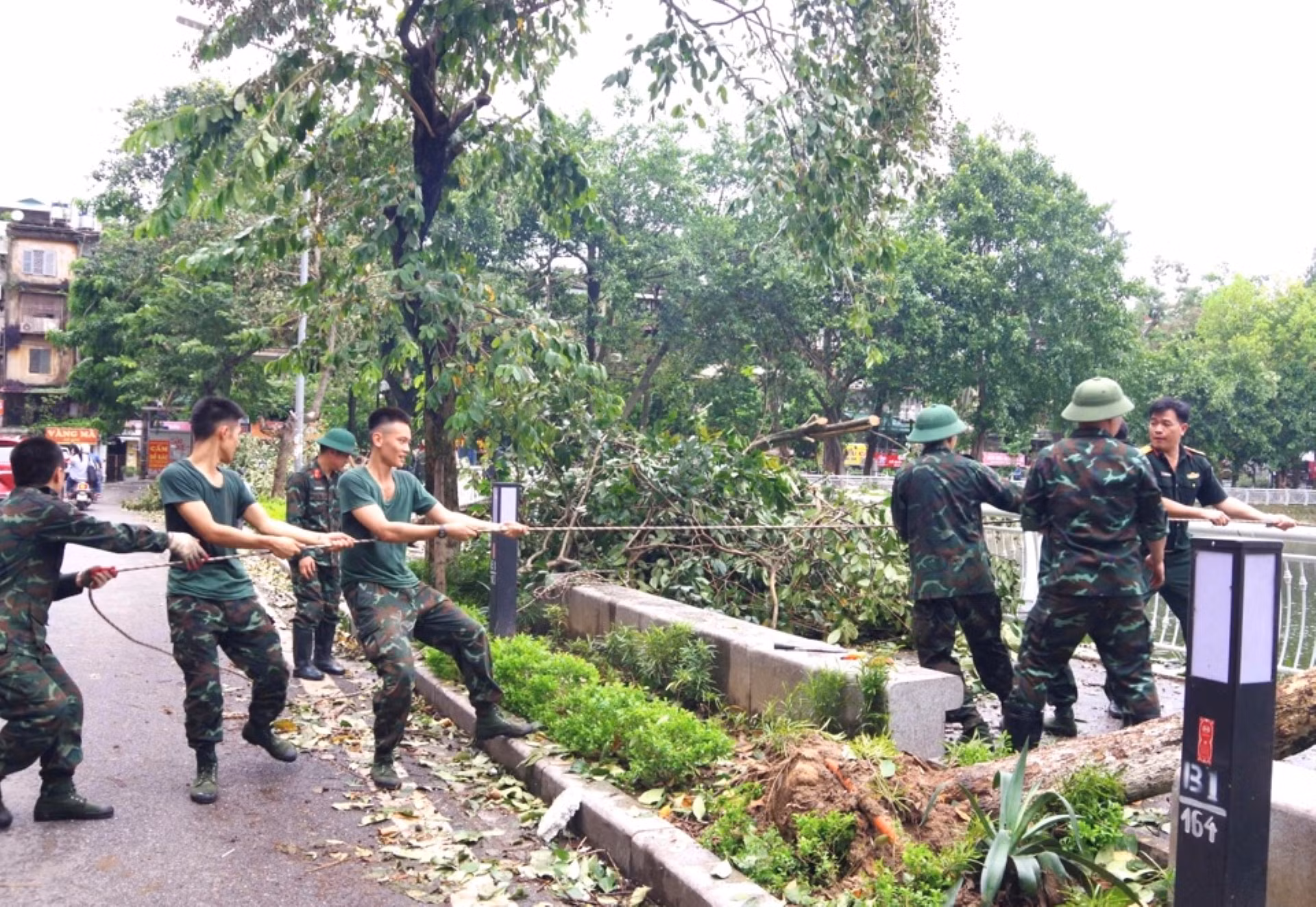 Các đơn vị quân đội tham gia dọn dẹp, xử lý cây đổ tại quận Đống Đa.