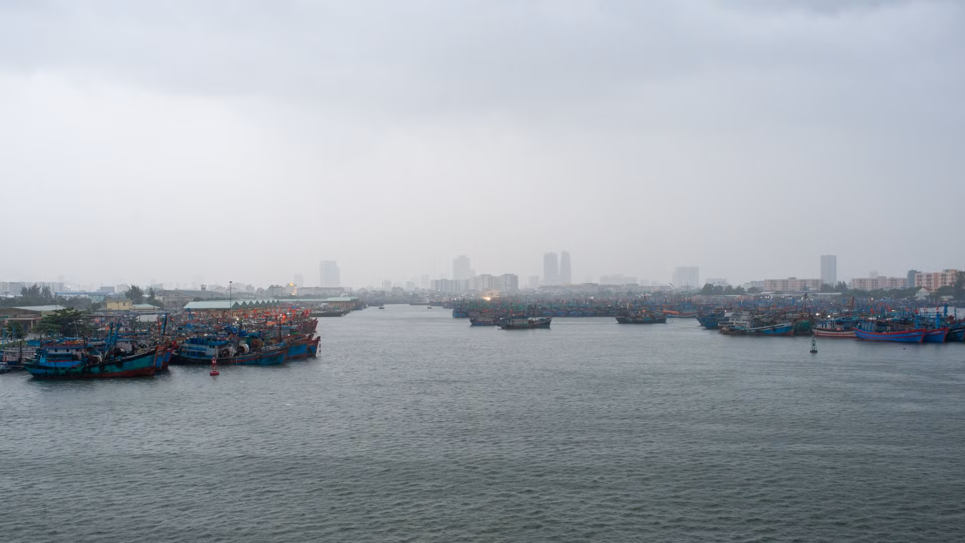 Trong những đợt mưa bão, âu thuyền Thọ Quang là điểm neo trú, tránh bão của nhiều tàu cá trên địa bàn thành phố Đà Nẵng và các tỉnh duyên hải miền trung.