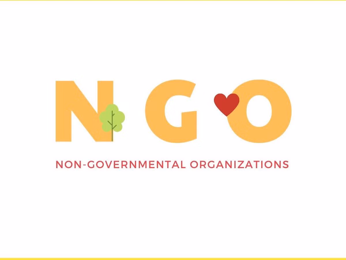 Các tổ chức phi chính phủ (Non - Governmental Organizations) là các tổ chức hoạt động vì mục tiêu văn hóa, xã hội, môi trường... mà không phải vì thương mại (Nguồn: Internet) 