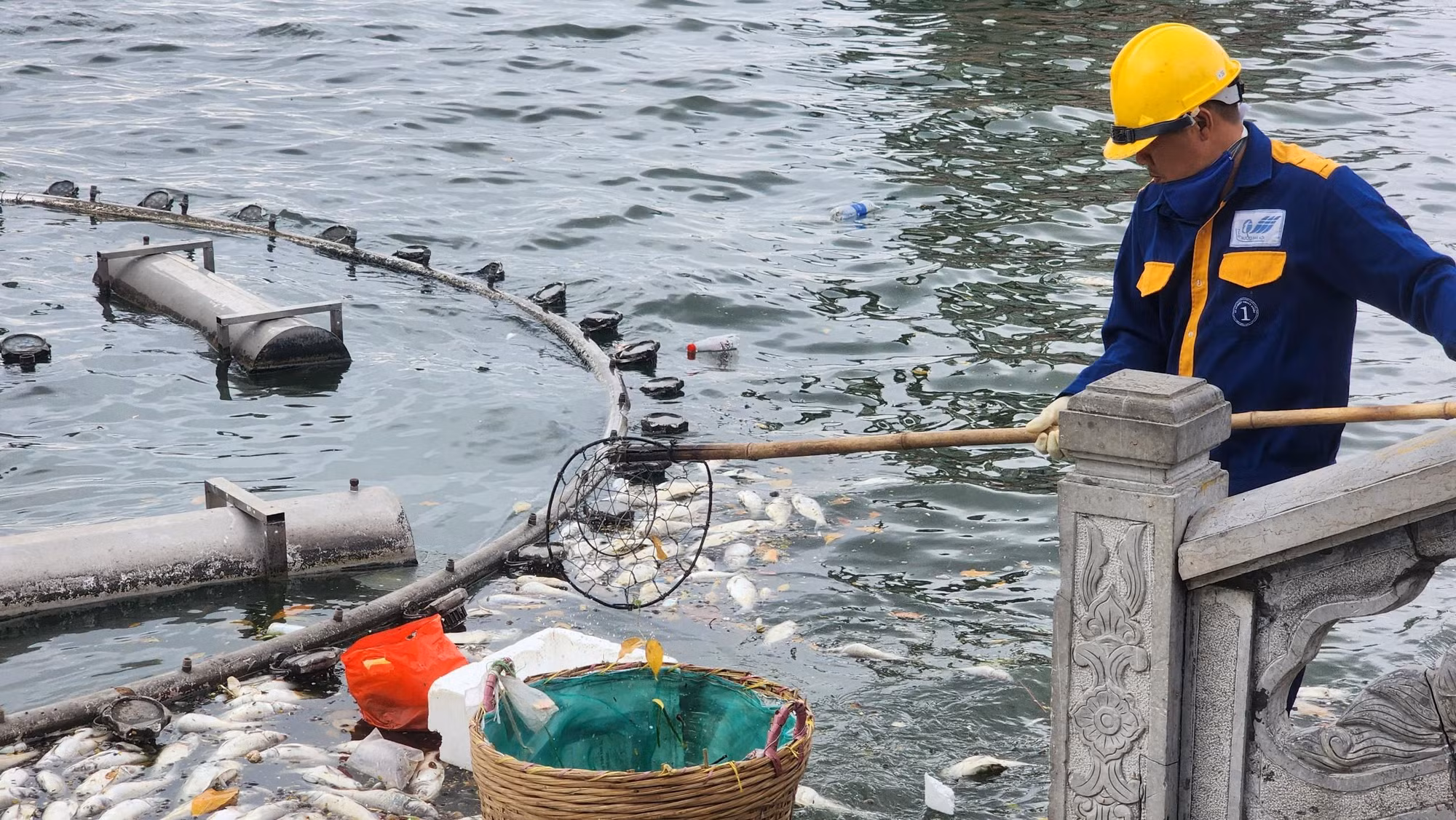 "Tình trạng cá chết đã diễn ra nhiều ngày nay, chúng tôi liên tục phải ứng trực để dọn dẹp. Phần lớn đều là cá mè do người dân thả phóng sinh cách đây không lâu. Do không hợp môi trường nên tình trạng cá chết hàng loạt mới xảy ra", anh Khôi, cán bộ Xí nghiệp 1 cho hay. "Tình trạng cá chết đã diễn ra nhiều ngày nay, chúng tôi liên tục phải ứng trực để dọn dẹp. Phần lớn đều là cá mè do người dân thả phóng sinh cách đây không lâu. Do không hợp môi trường nên tình trạng cá chết hàng loạt mới xảy ra", anh Khôi, cán bộ Xí nghiệp 1 cho hay.