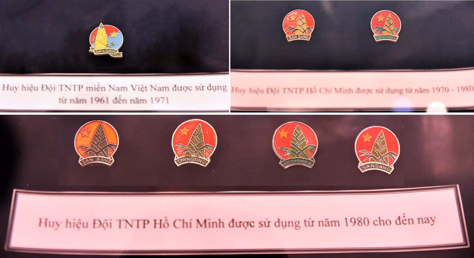 Huy hiệu Đội Thiếu niên Tiền phong Hồ Chí Minh qua các thời kỳ. Trong đó, đáng chú ý có chiếc huy hiệu Đội Thiếu niên Tiền phong miền nam Việt Nam.
