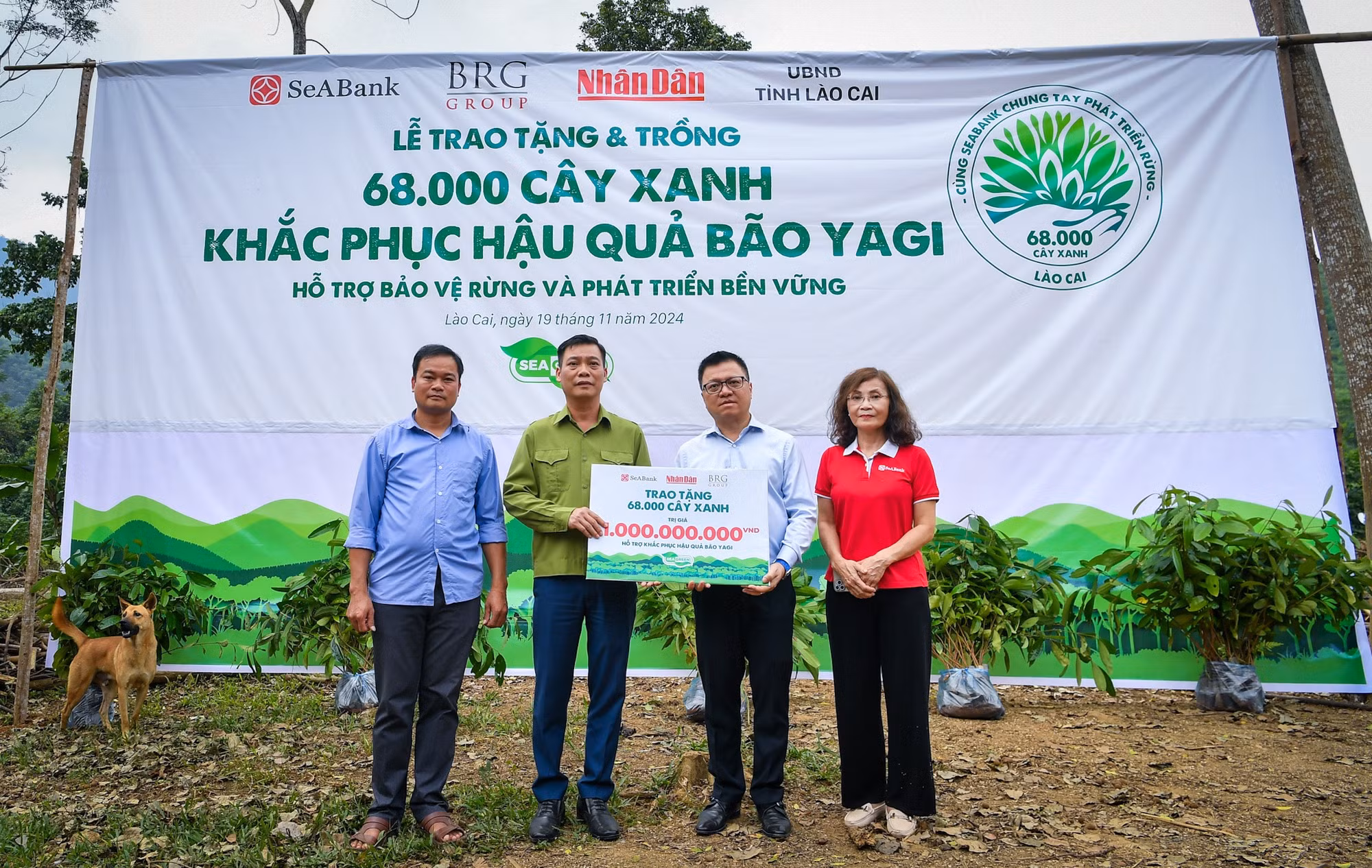 [Ảnh] Báo Nhân Dân trồng hàng chục nghìn cây xanh hỗ trợ sinh kế bà con Làng Nủ