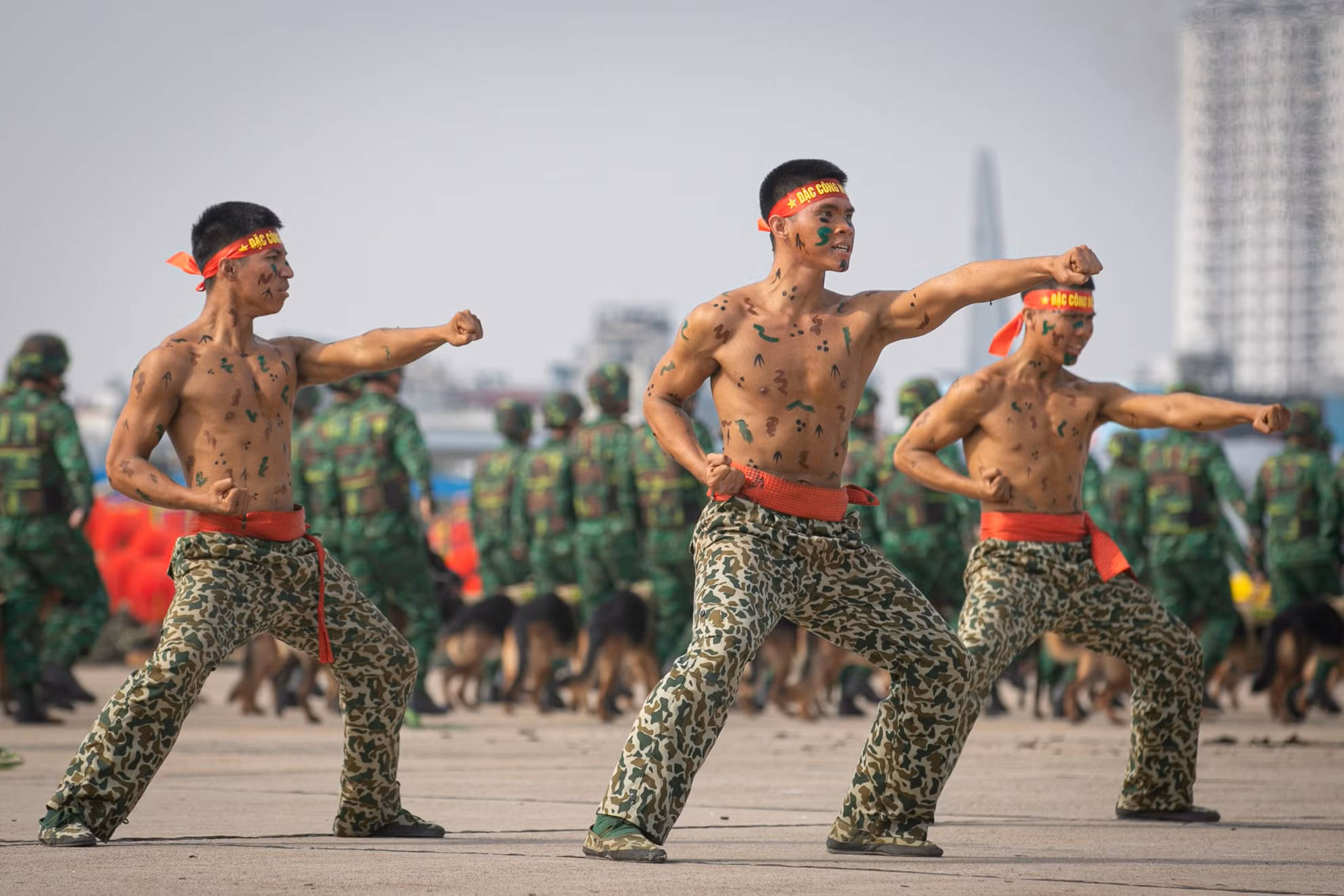 Chương trình nghệ thuật lễ khai mạc triển lãm có chủ đề "Việt Nam - Hòa bình, hợp tác, cùng phát triển" với 2.000 cán bộ, chiến sĩ Quân đội nhân dân Việt Nam biểu diễn. Cùng với đó, lực lượng Không quân Việt Nam bay chào mừng, Đặc công Quân đội nhân dân Việt Nam, Quân khuyển Biên phòng biểu diễn chào mừng triển lãm.