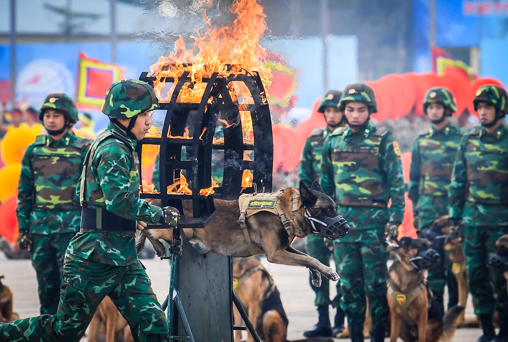 Lực lượng quân khuyển tham gia biểu diễn tại Lễ Tổng duyệt.