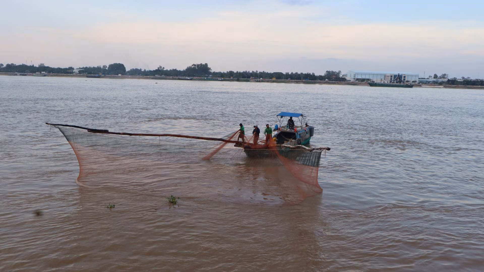 Kéo dồn bắt cá linh trên sông Tiền ở thị xã Tân Châu. Kéo dồn bắt cá linh trên sông Tiền ở thị xã Tân Châu.