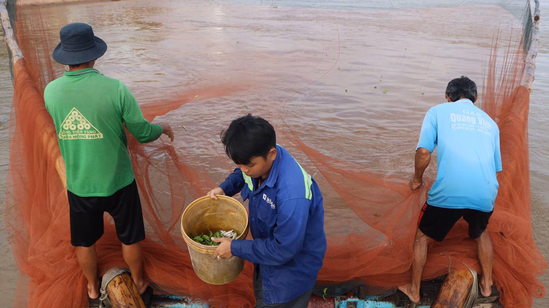Một thùng này có thể chứa 10 kg cá linh. Một thùng này có thể chứa 10 kg cá linh.