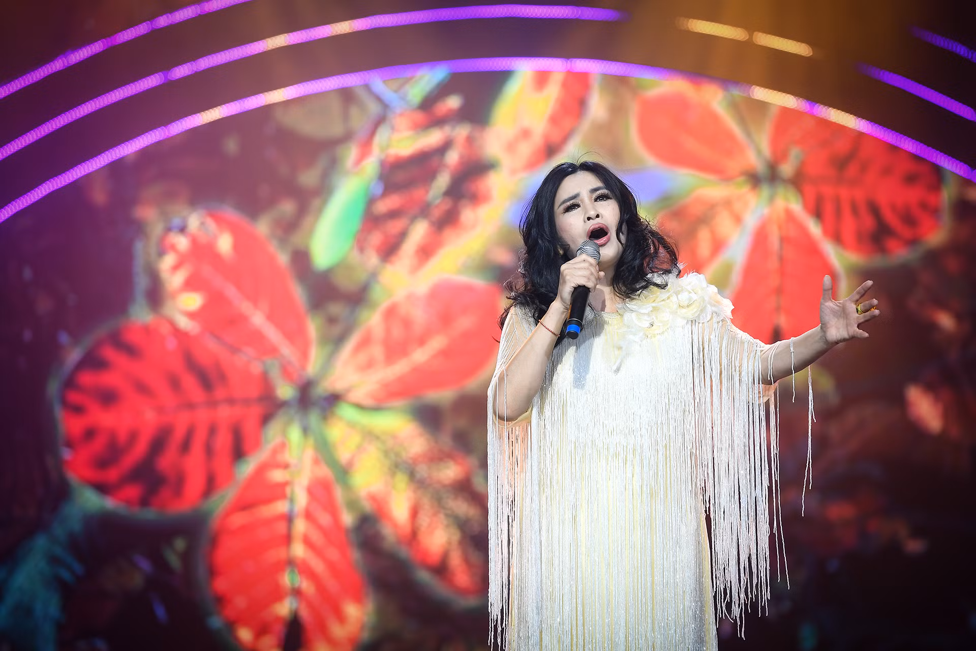 [Ảnh] Đêm nhạc "Mạch nguồn ví, giặm" ảnh 8