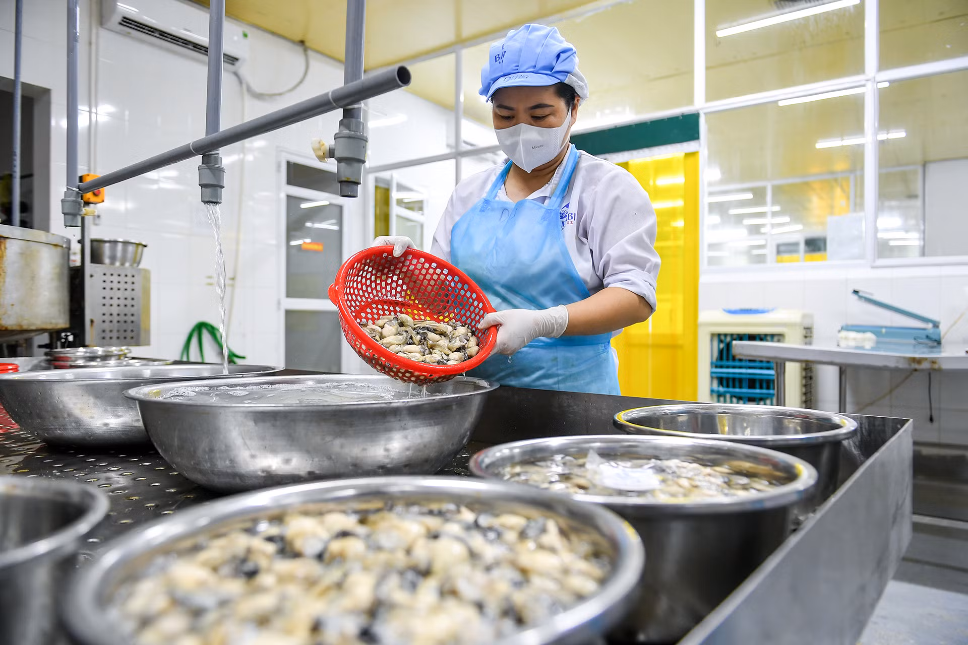 Những con hàu sau khi được chọn lượng kỹ lưỡng, đạt tiêu chuẩn sẽ được rửa sạch qua nước muối và nước RO.