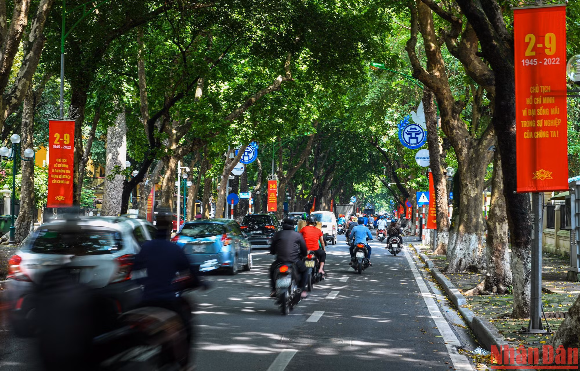 Sắc đỏ rực rỡ trải dài từ khắp các con đường lớn như Thanh Niên, Chu Văn An, Hoàng Diệu, Phan Đình Phùng…