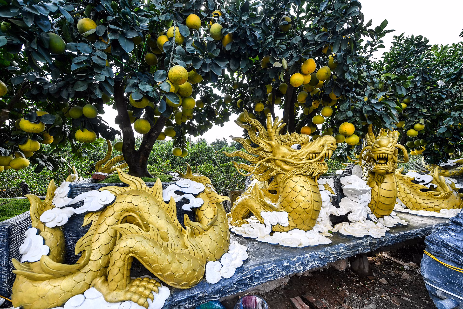 Tác phẩm khác mang tên "Song long chầu nguyệt" có chiều dài 5,6m, được rao bán hơn 200 triệu đồng.